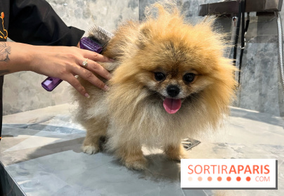 Patapwouf, le spot cani-friendly de Saint-Ouen - nos photos - 7E06A617 242A 4D26 AE25 EDA883B0FF2D