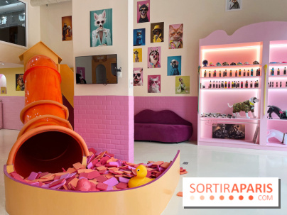 Patapwouf, le spot cani-friendly de Saint-Ouen - nos photos - A20E0070 2D50 49D7 8DC4 7B247EC53339