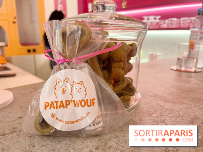Patapwouf, le spot cani-friendly de Saint-Ouen - nos photos - CBA74623 0EBE 44FA 9FFF 1E1D19587CD5