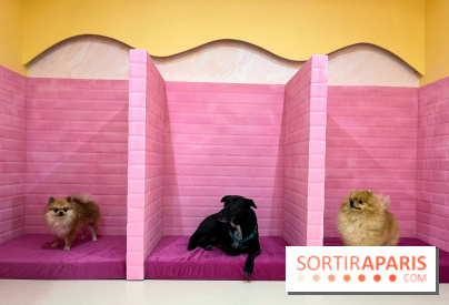 Patapwouf, le spot cani-friendly de Saint-Ouen - nos photos - EFD876A8 E455 49B4 A85E 02B255FF5AC9
