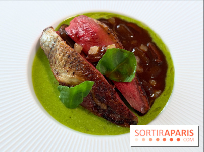Geoélia - Pigeon rôti, gnocchi aubergine, velouté oseille