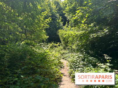 Paris-Rambouillet à pied - nos photos - 93669666 586D 4C43 B749 B8A3DD96A086