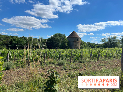 Paris-Rambouillet à pied - nos photos - 50F1D405 06A3 4B1F B8FC CD3BDB65BAC0