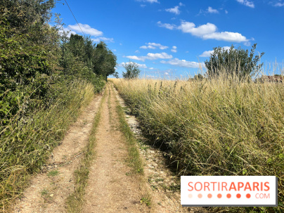 Paris-Rambouillet à pied - nos photos - DF4FD716 169E 424A 938E 9B3E81624D76