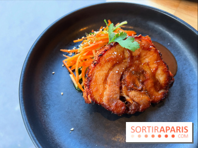 Shuzo - Chashu-Chicharron