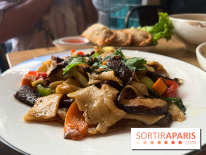 Phayul Tibet, les spécialités tibétaines à Paris - nos photos - DCCA0368 FDEA 471D 8BC3 C4E18AE5226B