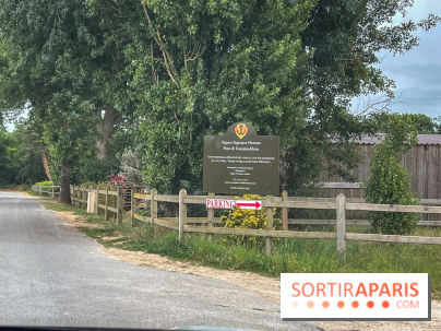 Balade en chevaux Henson en forêt de Fontainebleau  - IMG 1986
