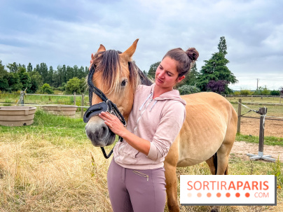 Balade en chevaux Henson en forêt de Fontainebleau  - IMG 1989
