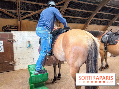 Balade en chevaux Henson en forêt de Fontainebleau  - IMG 2025