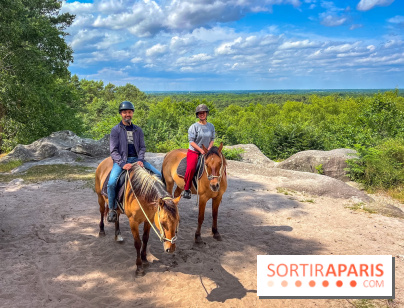 Balade en chevaux Henson en forêt de Fontainebleau