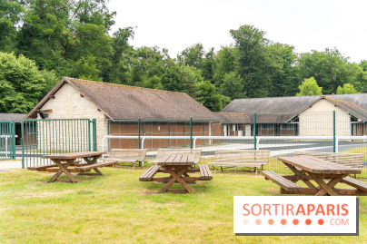 L'Hippodrome de la Solle à Fontainebleau - photos - A7C02773