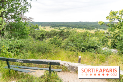 L'Hippodrome de la Solle à Fontainebleau - photos - A7C02778