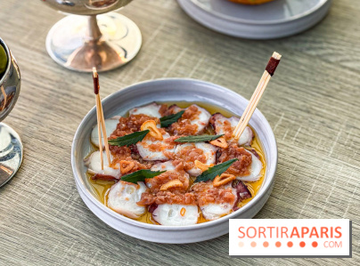 Bar Les Ombres : cocktails & tapas sur le rooftop du Musée du Quai Branly avec vue sur la tour Eiffel - IMG 8117