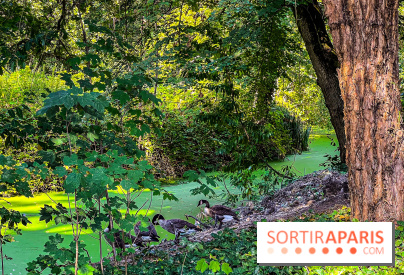 Parc de la Roseraie à Chatenay Malabry (92) : 8 hectares de verdure classés Monument Historique