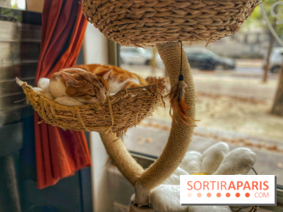 Chat-Rivari Café