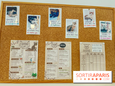 Chat-Rivari Café
