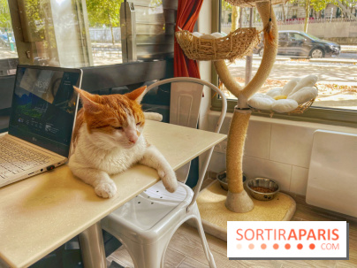 Chat-Rivari Café