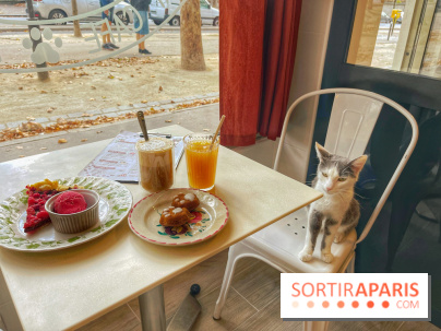 Chat-Rivari Café