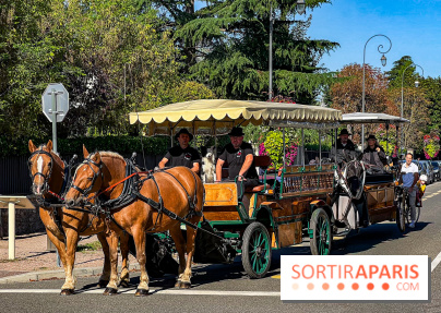 Tous en piste ! à Maisons-Laffitte (78): poneys, calèche et spectacles équestres gratuits au château