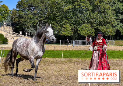 Tous en piste ! à Maisons-Laffitte (78): poneys, calèche et spectacles équestres gratuits au château