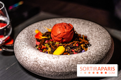 Aqua Kyoto Paris, le rooftop japonais sur les Champs-Elysées - photos - A7C07336