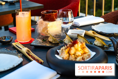 Aqua Kyoto Paris, le rooftop japonais sur les Champs-Elysées - photos - A7C07267