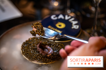 Le Dîner Renversé des Grands Voyageurs - Caviar
