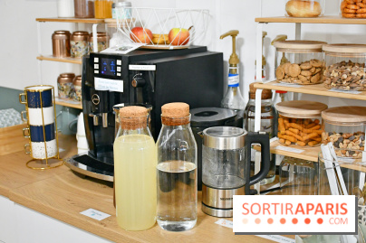 Koneko Work : le café coworking pour travailler en compagnie des chats