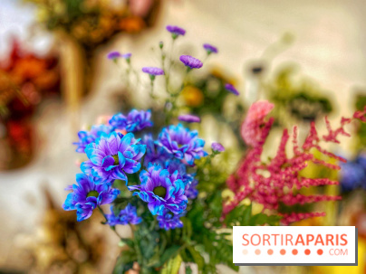 Les filles d'à côté - IMG 5229