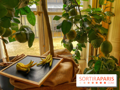 L'art des parfumeurs - IMG 5548