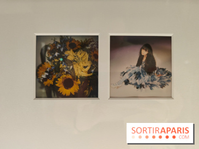 Polaraki, mille polaroids d'Araki Nobuyoshi : l'exposition du musée Guimet se dévoile - fotor 1759249700856