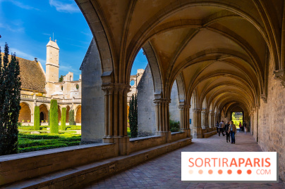 Les spectacles du dimanche de l'Abbaye de Royaumont dans le Val-d'Oise - A7C08374