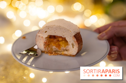 la Bûche de Noêl du Mandarin Oriental Lutetia aux Lumières de Paris - A7C08076