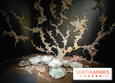 Voir la mer : une exposition gratuite qui montre un monde chaviré au Maif Social Club - fotor 1759916110052