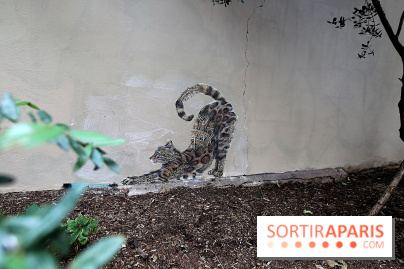 Ardif : nos photos de son exposition 'Felines Mechanimal'