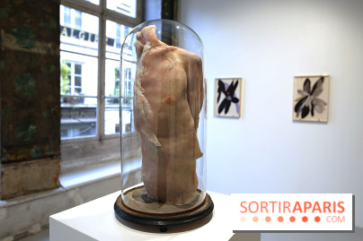 Berlinde De Bruyckere : nos photos de son exposition 'Need' à la Galleria Continua