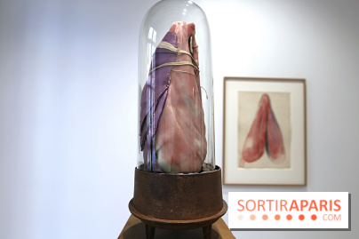 Berlinde De Bruyckere : nos photos de son exposition 'Need' à la Galleria Continua