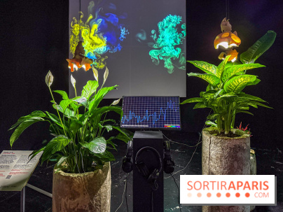 Exposition Les Illusions retrouvées au CENTQUATRE-Paris : les nouvelles utopies de l’ère numérique - IMG 9253