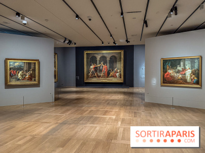 Jacques-Louis David au Louvre : l’exposition incontournable autour du peintre néoclassique - IMG 9568