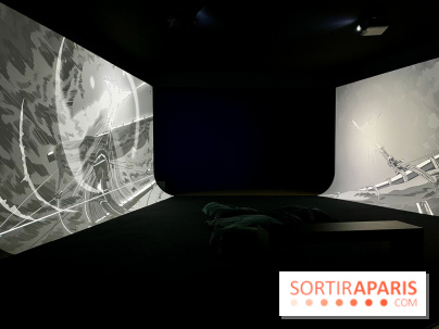 Dans le sillage de Magellan - IMG 6859