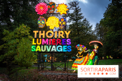 Thoiry Lumières Sauvages 2025 : le Bal des Esprits - A7C09474
