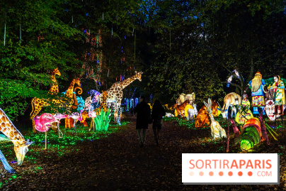 Thoiry Lumières Sauvages 2025 : le Bal des Esprits - A7C09493