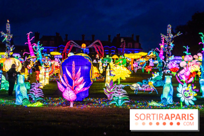 Thoiry Lumières Sauvages 2025 : le Bal des Esprits - A7C09505