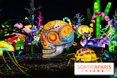 Thoiry Lumières Sauvages 2025 : le Bal des Esprits - A7C09511