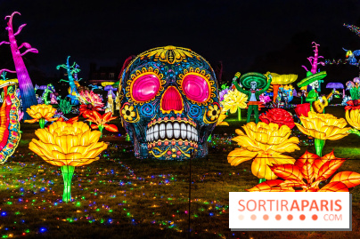 Thoiry Lumières Sauvages 2025 : le Bal des Esprits - A7C09517