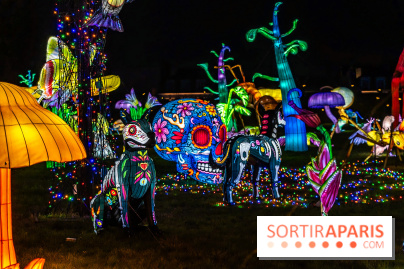 Thoiry Lumières Sauvages 2025 : le Bal des Esprits - A7C09523