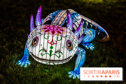 Thoiry Lumières Sauvages 2025 : le Bal des Esprits - A7C09526