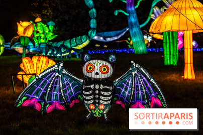 Thoiry Lumières Sauvages 2025 : le Bal des Esprits - A7C09527