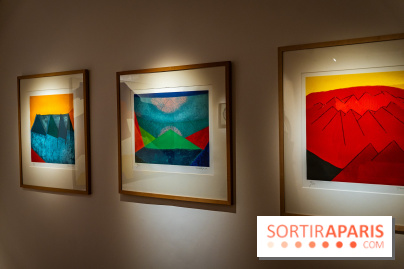 Exposition 'Couleurs de Corée, Lumière sur l’art contemporain coréen' au Centre Culturel Coréen - les photos - A7C09806