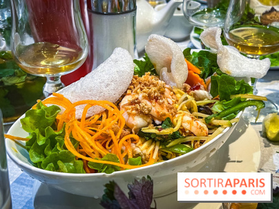 Le Bambou restaurant vietnamien Paris 13e - photos - salade de mangue verte